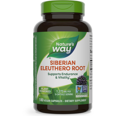Siberian Eleuthero